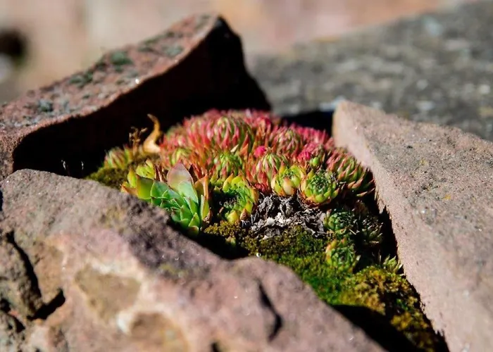 Croatia & Restaurant Adria *